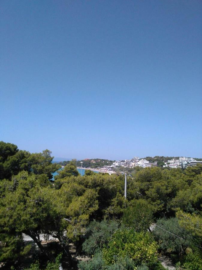 Comfortable Garden Apt Near Vouliagmeni Beach Athens Exterior photo