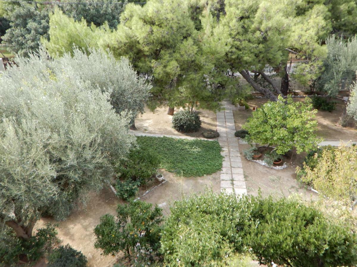 Comfortable Garden Apt Near Vouliagmeni Beach Athens Exterior photo